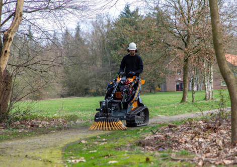 gs950tonkruidborstel[2]